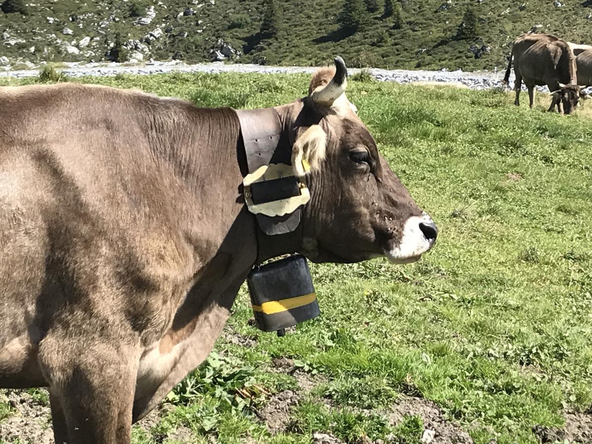 Ferienwohnung Laax Mit Traumblick, Grossem Balkon Und Terrasse Luaran gambar